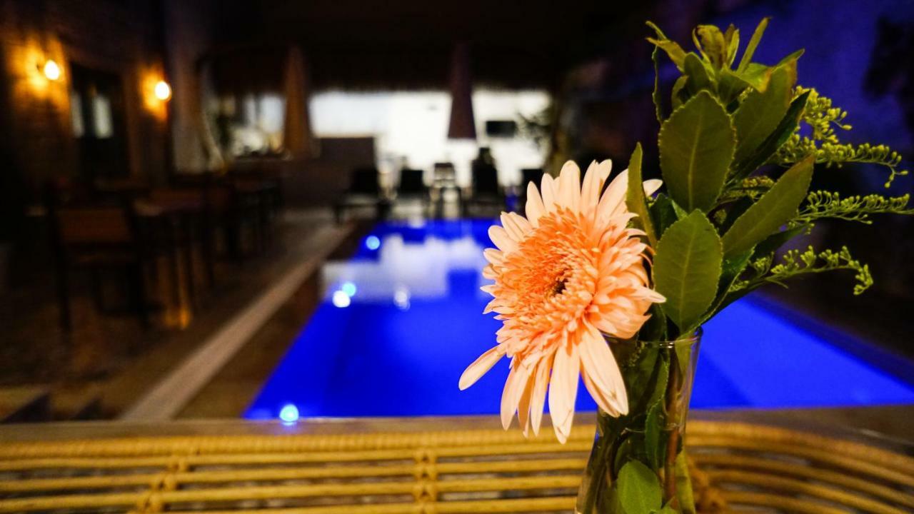 Çeşme Mara Koeyici Bed & Breakfast エクステリア 写真